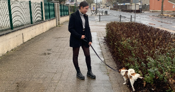 salena pet sitter à ST PIERRE DES CORPS 37700_3