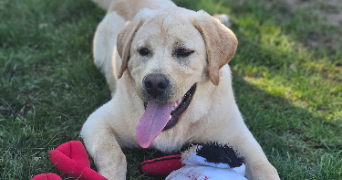 marlene pet sitter à AUNEAU BLEURY ST SYMPHORIEN 28700_18