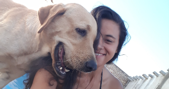 carolina pet sitter à CAMBRAI 59400_6