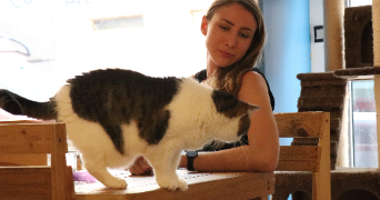 elodie pet sitter à COUZON AU MONT D OR 69270_3