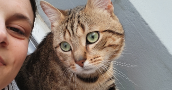 kimberley pet sitter à ROSIERES EN SANTERRE 80170_1