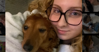 solène  pet sitter à NOEUX LES MINES 62290_0