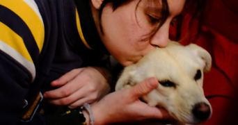 savanephone pet sitter à RENNES 35000_1