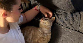 elisa pet sitter à Montpellier 34000_6