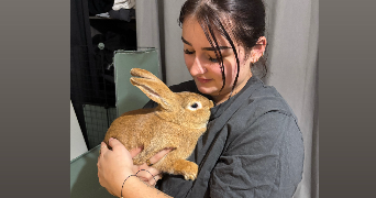 océane pet sitter à PUISEUX EN FRANCE 95380_2