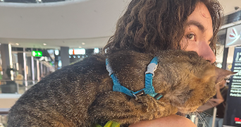 riko pet sitter à LYON 08 69008_3