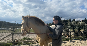 nina pet sitter à ST SATURNIN LES AVIGNON 84450_2