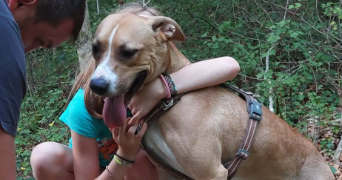 alexandre pet sitter à CHAVIGNY 54230_7