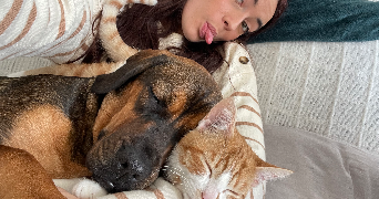 amelie pet sitter à BRIOLLAY 49125_0