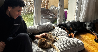 ugo pet sitter à ARNAGE 72230_0