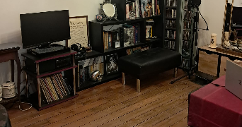 laurène pet sitter à PARIS 11 75011_1