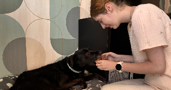 abigaïl dog sitter à FLEURY LES AUBRAIS 45400_1