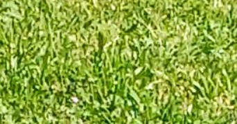 deborah pet sitter à FREJUS 83600_2