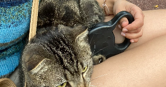 maé pet sitter à Paris 75017_1