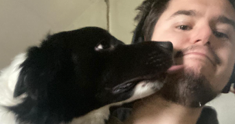 némo pet sitter à VILLIERS SUR MARNE 94350_0