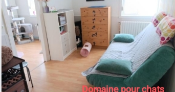 laurence et christophe  pet sitter à SIN LE NOBLE 59450_0