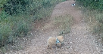 myriam pet sitter à GARDANNE 13120_15
