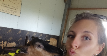 elise pet sitter à LINSELLES 59126_0
