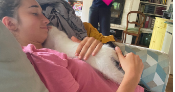 luna pet sitter à PESSAC 33600_1