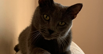caroline pet sitter à Paris 75012_2