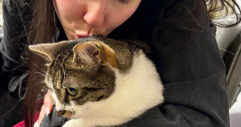 susan pet sitter à THIAIS 94320_4