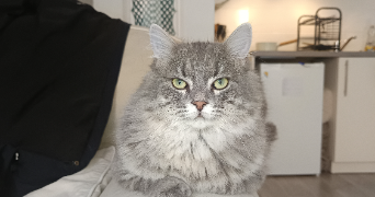 inès pet sitter à POITIERS 86000_2