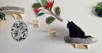 magali pet sitter à MARSEILLE 13 13013_3