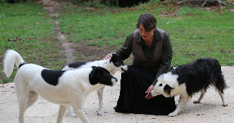 reija pet sitter à SANILHAC 24750_2
