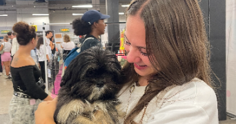 elise pet sitter à CAILLOUX SUR FONTAINES 69270_0