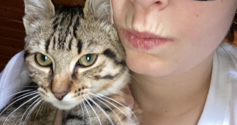 lysa pet sitter à VANNES 56000_2