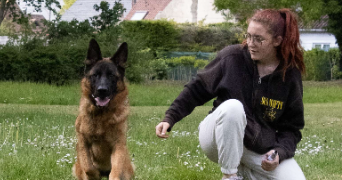 karen pet sitter à LABOURSE 62113_1