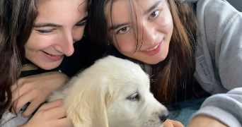 marie dog sitter à PARIS 17 75017_1