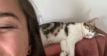 solenn pet sitter à CHATEL GUYON 63140_3