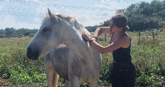 clara pet sitter à LAGORCE 33230_1
