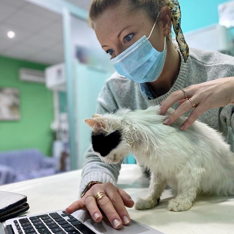 laurence pet sitter à LILLE 59310_2