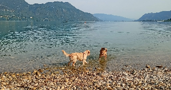 elise pet sitter à CHAMBERY 73000_9