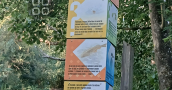 celine pet sitter à ST GENIS LES OLLIERES 69290_2
