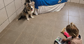 marlene pet sitter à AUNEAU BLEURY ST SYMPHORIEN 28700_15