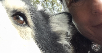 carole eve pet sitter à BARR 67140_2