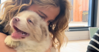 anna pet sitter à BIARRITZ 64200_4