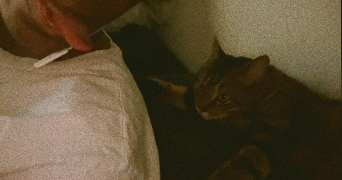 soumaya pet sitter à ST FONS 69190_3