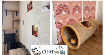 ophelie cat sitter à CHARTRES 28000_26