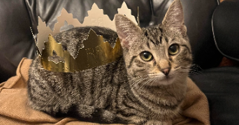 perrine pet sitter à BOULOGNE BILLANCOURT 92100_2