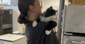 romane pet sitter à TOURS 37000_5