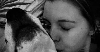 laure pet sitter à LES PORTES DU COGLAIS 35460
