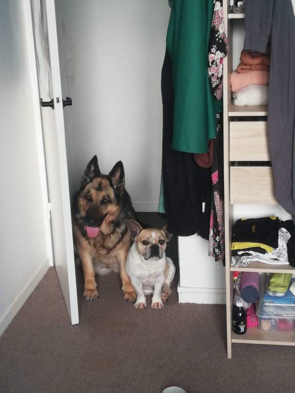 Marion pet sitter à Mérignac 33700_2