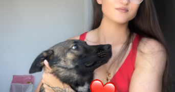 marie pet sitter à BELFORT 90000_5