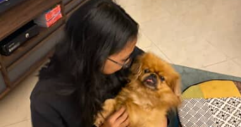 kaloina pet sitter à ROUBAIX 59100_3