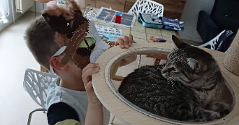 cynthia pet sitter à ST DENIS SUR COISE 42140_2