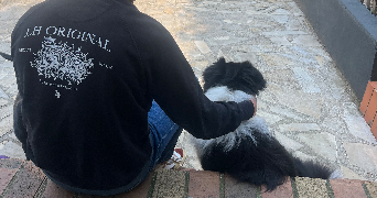 clarabouillault pet sitter à ROUEN 76000_6